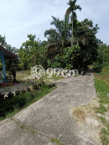 Tanah di Rumbai Pesisir, Pekanbaru Luas 1634m2 Dijual Segera Tanah di Rumbai Pesisir, Pekanbaru Luas 1634m2 Dijual Segera