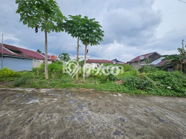 Tanah Dijual Lokasi Tampan Pekanbaru SHM Tanah Dijual Lokasi Tampan Pekanbaru SHM