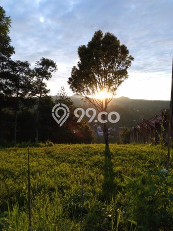 Dijual Tanah Lokasi Lembang, Bandung Seluas 1575m2 Dijual Tanah Lokasi Lembang, Bandung Seluas 1575m2