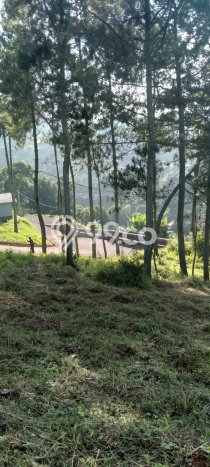 Dijual Tanah Lokasi Lembang, Bandung Seluas 1575m2 Dijual Tanah Lokasi Lembang, Bandung Seluas 1575m2