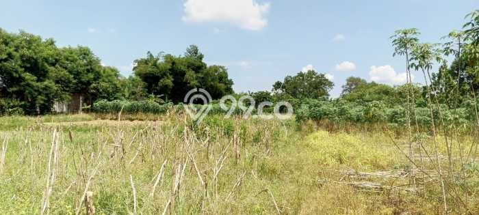 Tanah Kavling di Sukarami Dijual dengan Luas 7717m2 Tanah Kavling di Sukarami Dijual dengan Luas 7717m2