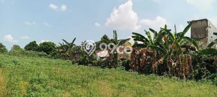 Tanah Kavling di Sukarami Dijual dengan Luas 7717m2 Tanah Kavling di Sukarami Dijual dengan Luas 7717m2