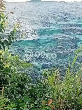 Tanah Kavling Dijual di Badung dengan Spesifikasi 2000m2 Tanah Kavling Dijual di Badung dengan Spesifikasi 2000m2
