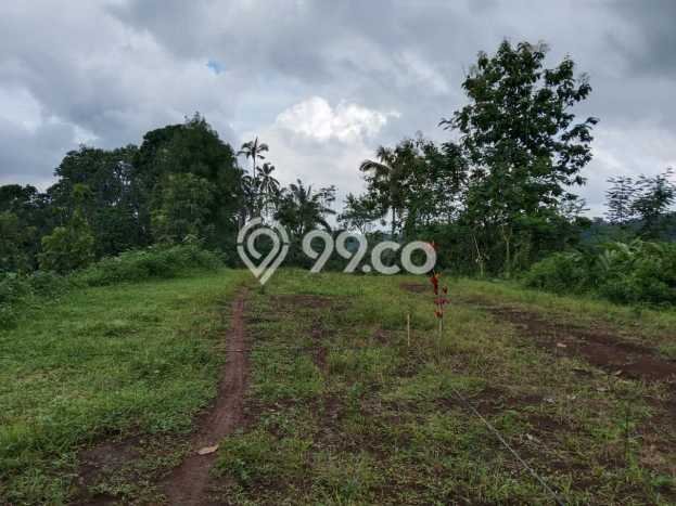 Tanah Kavling Dijual di Tabanan dengan Spesifikasi 500m2 Tanah Kavling Dijual di Tabanan dengan Spesifikasi 500m2
