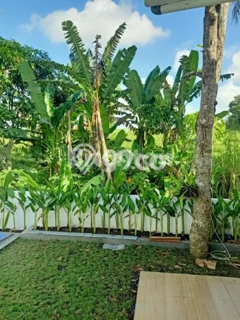 Dijual Rumah Eksklusif 2 KT di Batuaji, Tabanan Dijual Rumah Eksklusif 2 KT di Batuaji, Tabanan
