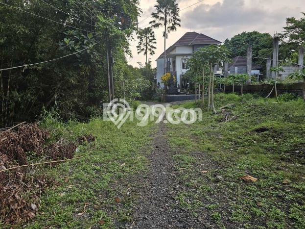 Jarang Ada! Tanah di Kerambitan Punya Luas 210m2 SHM Jarang Ada! Tanah di Kerambitan Punya Luas 210m2 SHM
