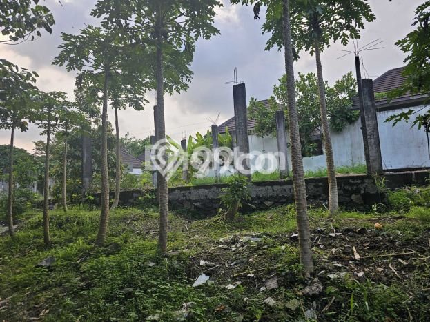 Lahan Kosong Dijual di Tabanan dengan Area 206m2 Lahan Kosong Dijual di Tabanan dengan Area 206m2