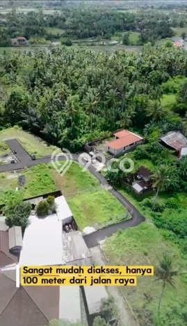 Tanah Kavling Dijual di Singapadu Kaler, Gianyar dengan Luas Tanah 196m2 Tanah Kavling Dijual di Singapadu Kaler, Gianyar dengan Luas Tanah 196m2