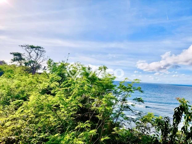 Tanah Kavling Dijual di Badung dengan Spesifikasi 2000m2 Tanah Kavling Dijual di Badung dengan Spesifikasi 2000m2