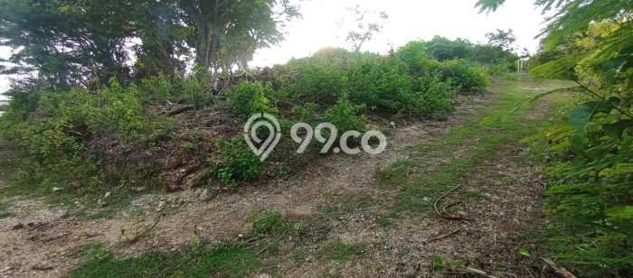 Tanah untuk Disewa di Badung Luas 2100m2 Tanah untuk Disewa di Badung Luas 2100m2