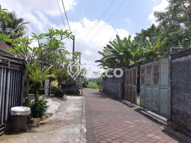 Ruko Bagus Dijual LB 500m2 Lokasi Strategis Badung Area Cocok untuk Berbisnis Ruko Bagus Dijual LB 500m2 Lokasi Strategis Badung Area Cocok untuk Berbisnis