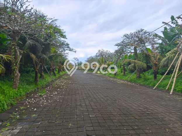 Tanah Kavling Dijual di Tulikup, Gianyar dengan Luas Tanah 100m2 Tanah Kavling Dijual di Tulikup, Gianyar dengan Luas Tanah 100m2