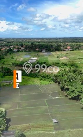 Tanah Kavling Dijual di Singapadu Kaler, Gianyar dengan Luas Tanah 196m2 Tanah Kavling Dijual di Singapadu Kaler, Gianyar dengan Luas Tanah 196m2