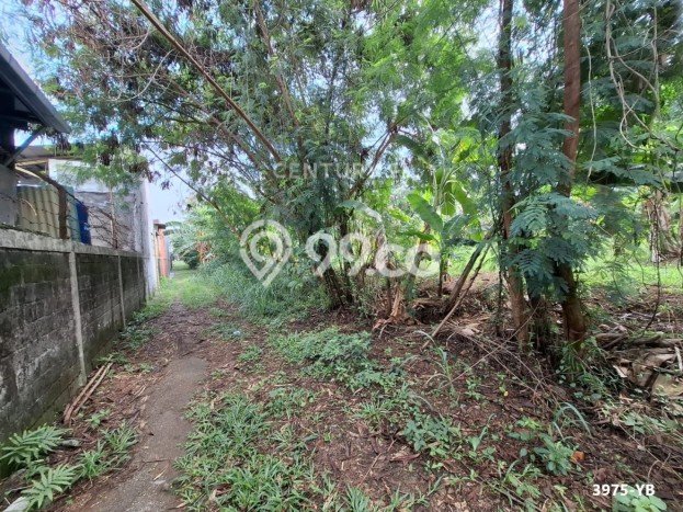 Kavling Tanah untuk Dijual di Bintaro, Tangerang Selatan, Luas 2179m2 Kavling Tanah untuk Dijual di Bintaro, Tangerang Selatan, Luas 2179m2