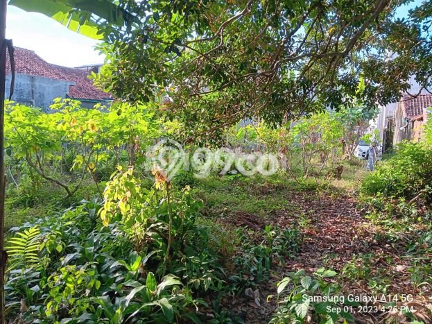 Tanah Investasi Dijual di Ciamis Punya Luas 548m2 Tanah Investasi Dijual di Ciamis Punya Luas 548m2