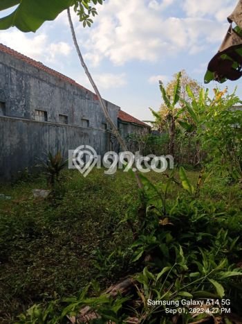 Tanah Investasi Dijual di Ciamis Punya Luas 548m2 Tanah Investasi Dijual di Ciamis Punya Luas 548m2