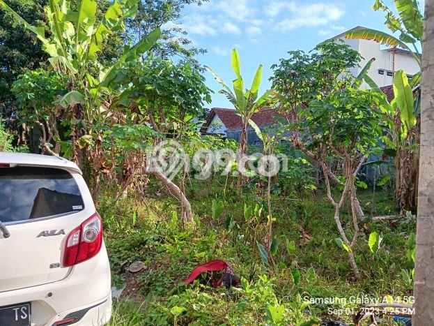 Tanah Investasi Dijual di Ciamis Punya Luas 548m2 Tanah Investasi Dijual di Ciamis Punya Luas 548m2