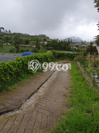 POTENSIAL! Tanah Kawasan , Luas 368m2m², Area Berkembang POTENSIAL! Tanah Kawasan , Luas 368m2m², Area Berkembang