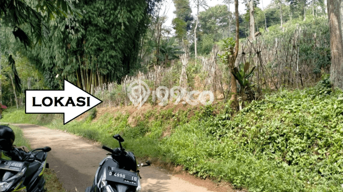 TANAH POTENSIAL! Tanah Kawasan Bandung Kidul, Luas 964m2m², Jalur Strategis TANAH POTENSIAL! Tanah Kawasan Bandung Kidul, Luas 964m2m², Jalur Strategis