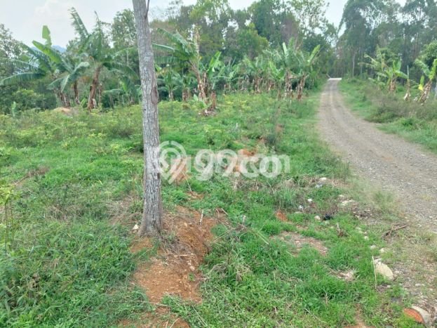 LOKASI STRATEGIS! Tanah di Soreang, Luas 1494m2m², Area Asri, Cocok untuk Hunian LOKASI STRATEGIS! Tanah di Soreang, Luas 1494m2m², Area Asri, Cocok untuk Hunian