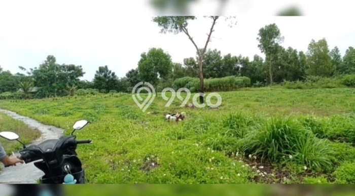 Unit Pabrik Dijual di Cikande Serang Luas Tanah 29207m2, Luas Bangunan 474405m2 Unit Pabrik Dijual di Cikande Serang Luas Tanah 29207m2, Luas Bangunan 474405m2