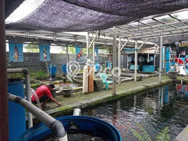 Tanah Investasi Dijual di Tangerang Punya Luas 755m2 Tanah Investasi Dijual di Tangerang Punya Luas 755m2