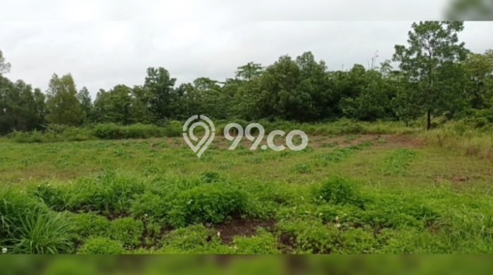 Unit Pabrik Dijual di Cikande Serang Luas Tanah 29207m2, Luas Bangunan 474405m2 Unit Pabrik Dijual di Cikande Serang Luas Tanah 29207m2, Luas Bangunan 474405m2