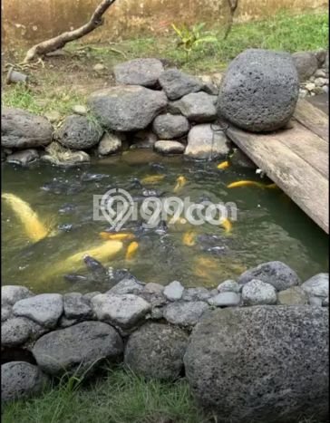 Disewakan Segera Rumah Kondisi Baik di Area Sukun, Malang Disewakan Segera Rumah Kondisi Baik di Area Sukun, Malang