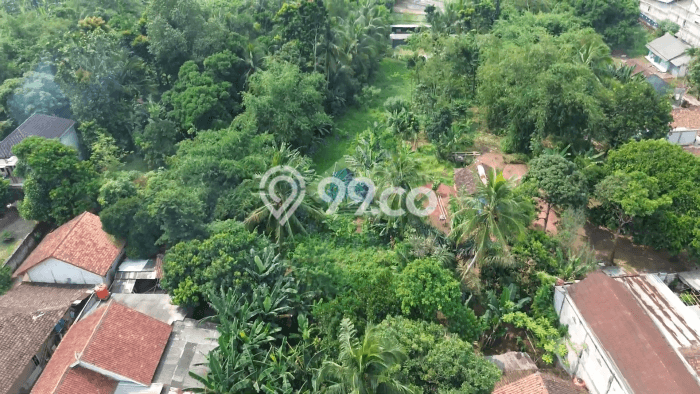 Lahan untuk Dijual di Rangkasbitung Lebak Luas 50000m2 Lahan untuk Dijual di Rangkasbitung Lebak Luas 50000m2