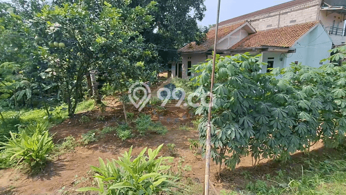 Lahan untuk Dijual di Rangkasbitung Lebak Luas 50000m2 Lahan untuk Dijual di Rangkasbitung Lebak Luas 50000m2