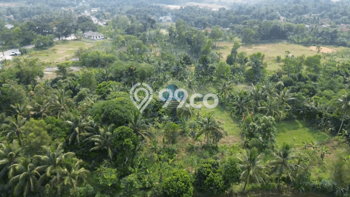 Lahan untuk Dijual di Rangkasbitung Lebak Luas 50000m2 Lahan untuk Dijual di Rangkasbitung Lebak Luas 50000m2