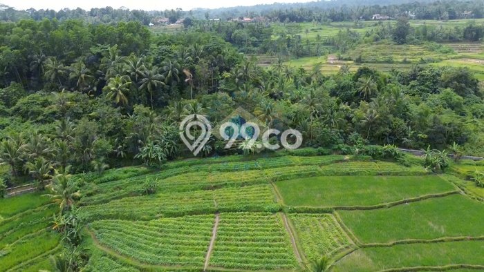 Tanah Kosong Dijual di Serang dengan Area 80000m2 Tanah Kosong Dijual di Serang dengan Area 80000m2