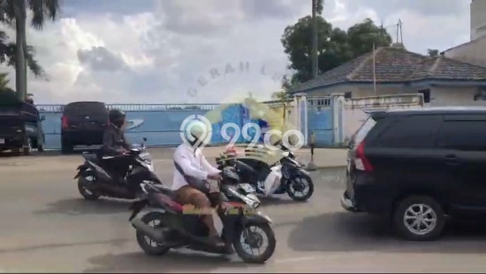 Lahan Kosong Dijual di Jati Uwung, Tangerang, Luas 37000m2 Area Strategis Lahan Kosong Dijual di Jati Uwung, Tangerang, Luas 37000m2 Area Strategis