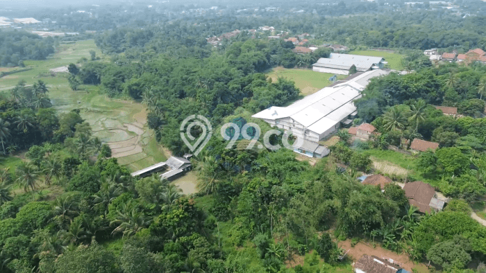 Lahan untuk Dijual di Rangkasbitung Lebak Luas 50000m2 Lahan untuk Dijual di Rangkasbitung Lebak Luas 50000m2