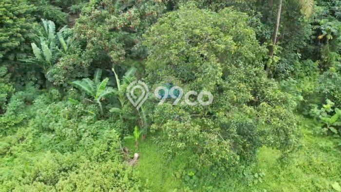 Tanah Lokasi Strategis di Pagedangan, Luas 3856m2m², Dekat ke Pusat Kota, Akses Pagedangan, Tangerang, Tangerang Tanah Lokasi Strategis di Pagedangan, Luas 3856m2m², Dekat ke Pusat Kota, Akses Pagedangan, Tangerang, Tangerang