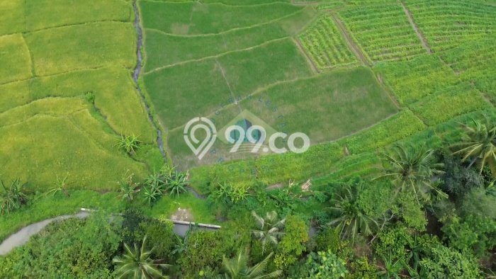Tanah Kosong Dijual di Serang dengan Area 80000m2 Tanah Kosong Dijual di Serang dengan Area 80000m2
