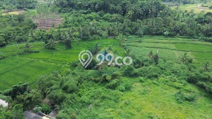 Tanah Kosong Dijual di Serang dengan Area 80000m2 Tanah Kosong Dijual di Serang dengan Area 80000m2