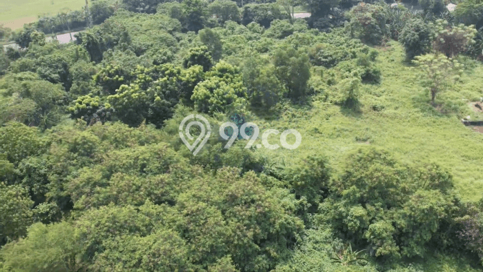 Kavling Tanah Dijual di Cikupa, Tangerang, Luas 12000m2 Area Strategis Kavling Tanah Dijual di Cikupa, Tangerang, Luas 12000m2 Area Strategis
