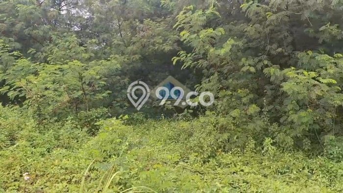 HARGA TERBAIK! Tanah Kawasan Legok, Luas 40900m2m², Dekat Jalan Utama, Area Potensial HARGA TERBAIK! Tanah Kawasan Legok, Luas 40900m2m², Dekat Jalan Utama, Area Potensial