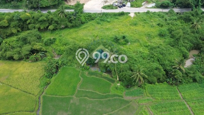 Tanah Kosong Dijual di Serang dengan Area 80000m2 Tanah Kosong Dijual di Serang dengan Area 80000m2