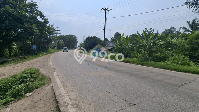 Lahan untuk Dijual di Rangkasbitung Lebak Luas 50000m2 Lahan untuk Dijual di Rangkasbitung Lebak Luas 50000m2