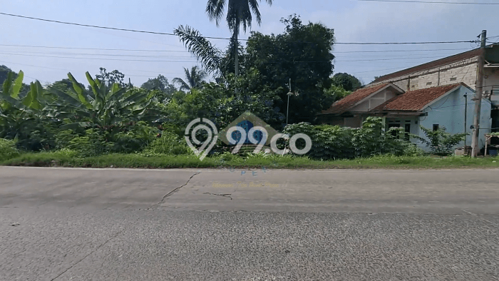 Lahan untuk Dijual di Rangkasbitung Lebak Luas 50000m2 Lahan untuk Dijual di Rangkasbitung Lebak Luas 50000m2