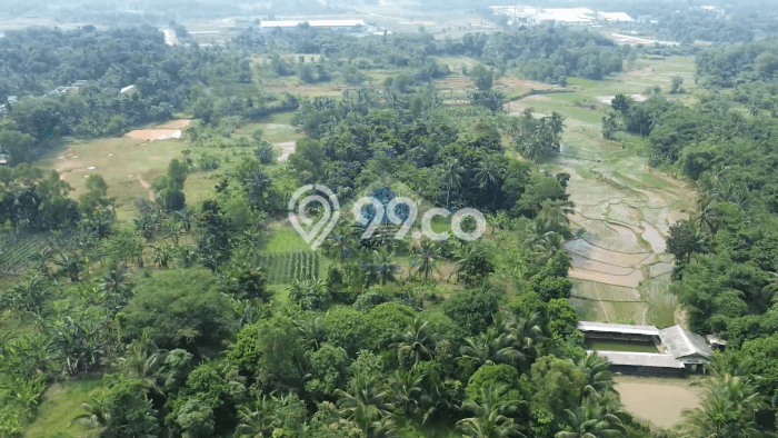 Lahan untuk Dijual di Rangkasbitung Lebak Luas 50000m2 Lahan untuk Dijual di Rangkasbitung Lebak Luas 50000m2