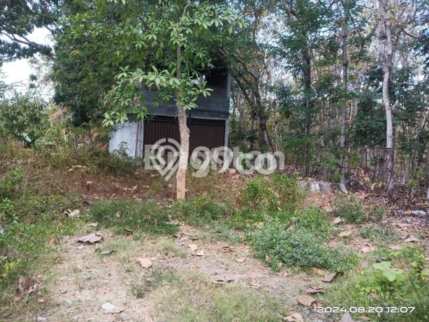 Dijual Tanah di Pajangan Bantul Luas 734m2 SHM Dijual Tanah di Pajangan Bantul Luas 734m2 SHM