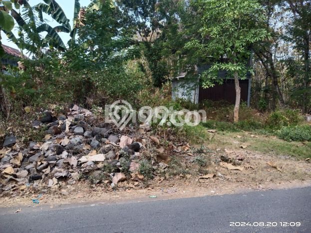 Dijual Tanah di Pajangan Bantul Luas 734m2 SHM Dijual Tanah di Pajangan Bantul Luas 734m2 SHM
