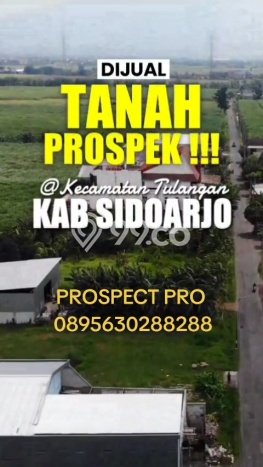 Dijual Tanah di Tulangan Sidoarjo Luas 1204m2 SHM Dijual Tanah di Tulangan Sidoarjo Luas 1204m2 SHM