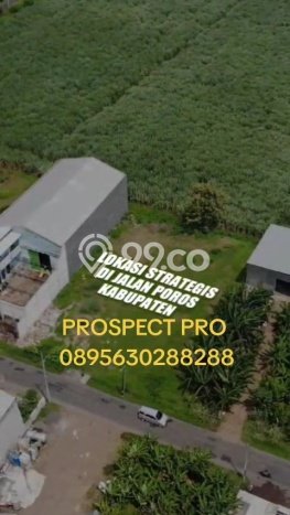 Dijual Tanah di Tulangan Sidoarjo Luas 1204m2 SHM Dijual Tanah di Tulangan Sidoarjo Luas 1204m2 SHM