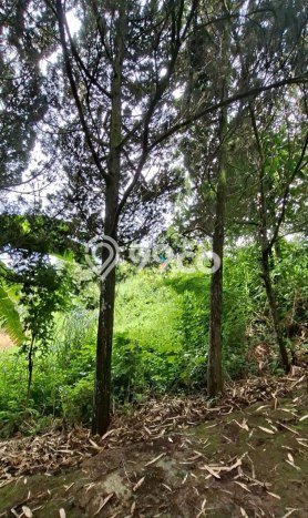 Tersedia Vila di , Ukuran 19000m2m², Area Nyaman Tersedia Vila di , Ukuran 19000m2m², Area Nyaman