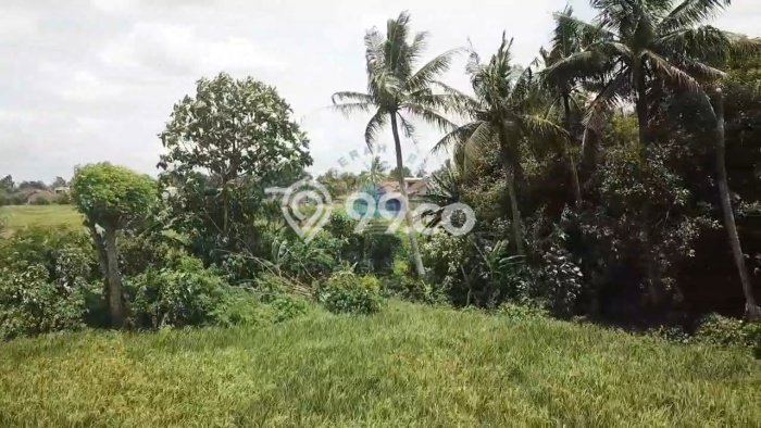 Kavling Tanah di Balaraja Dijual Luas 6000m2 Legalitas AJB Kavling Tanah di Balaraja Dijual Luas 6000m2 Legalitas AJB