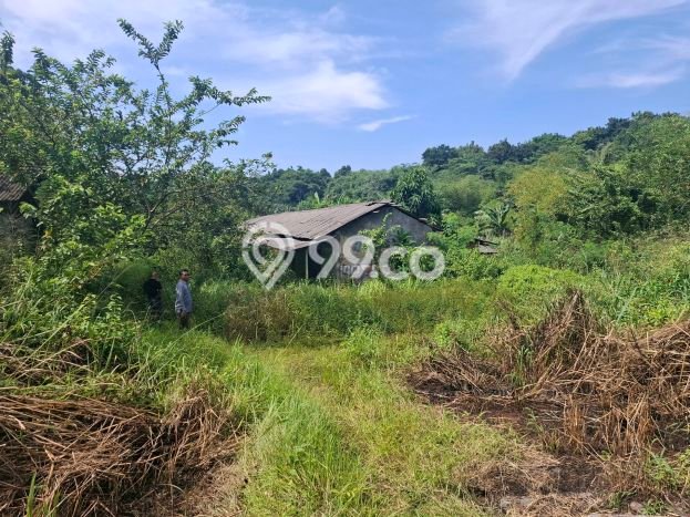 Tanah Dijual Lokasi Ciseeng, Bogor dengan Luas Tanah 13625m2 dan Status SHM Tanah Dijual Lokasi Ciseeng, Bogor dengan Luas Tanah 13625m2 dan Status SHM
